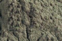 德州影視制作公司